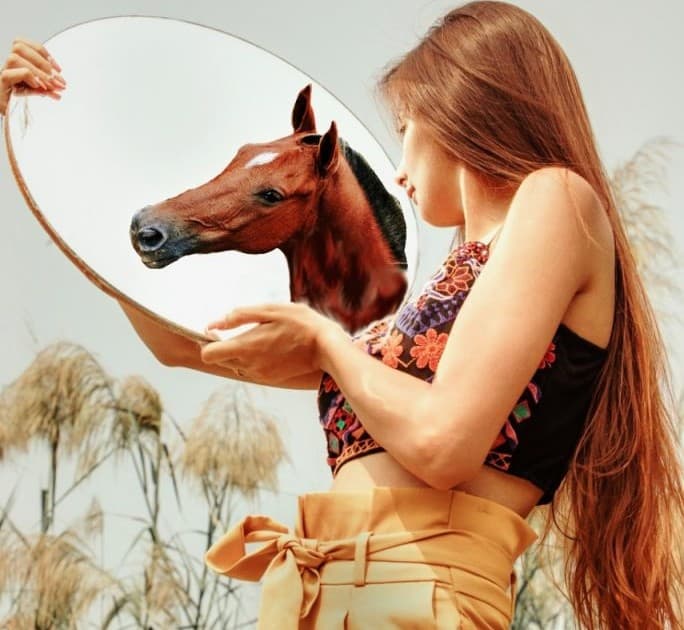 Image Component